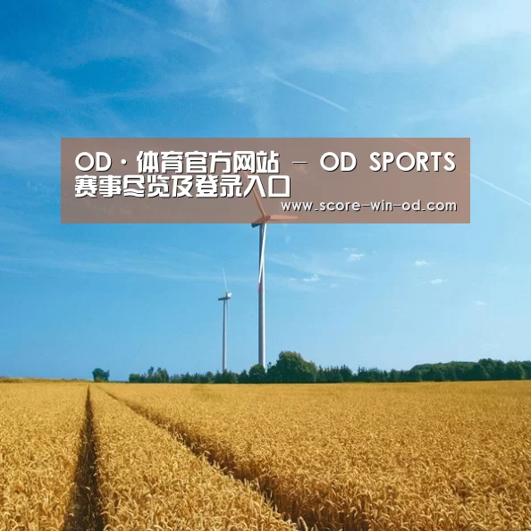 风能