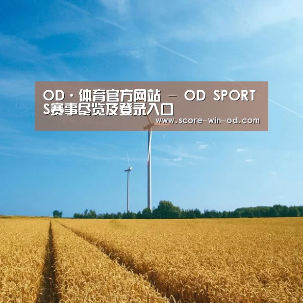 风能