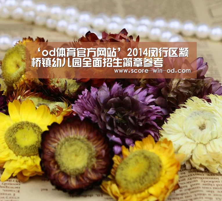 ‘od体育官方网站’2014闵行区颛桥镇幼儿园全面招生简章参考(图1) od体育官方网站