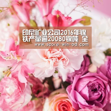 印尼矿业公司2016年镍铁产量逾20080镍吨 全年增幅17%-od体育官方网站(图1) od体育在线登录