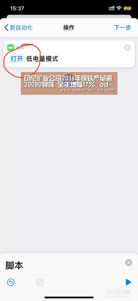 印尼矿业公司2016年镍铁产量逾20080镍吨 全年增幅17%-od体育官方网站(图3) od体育在线登录