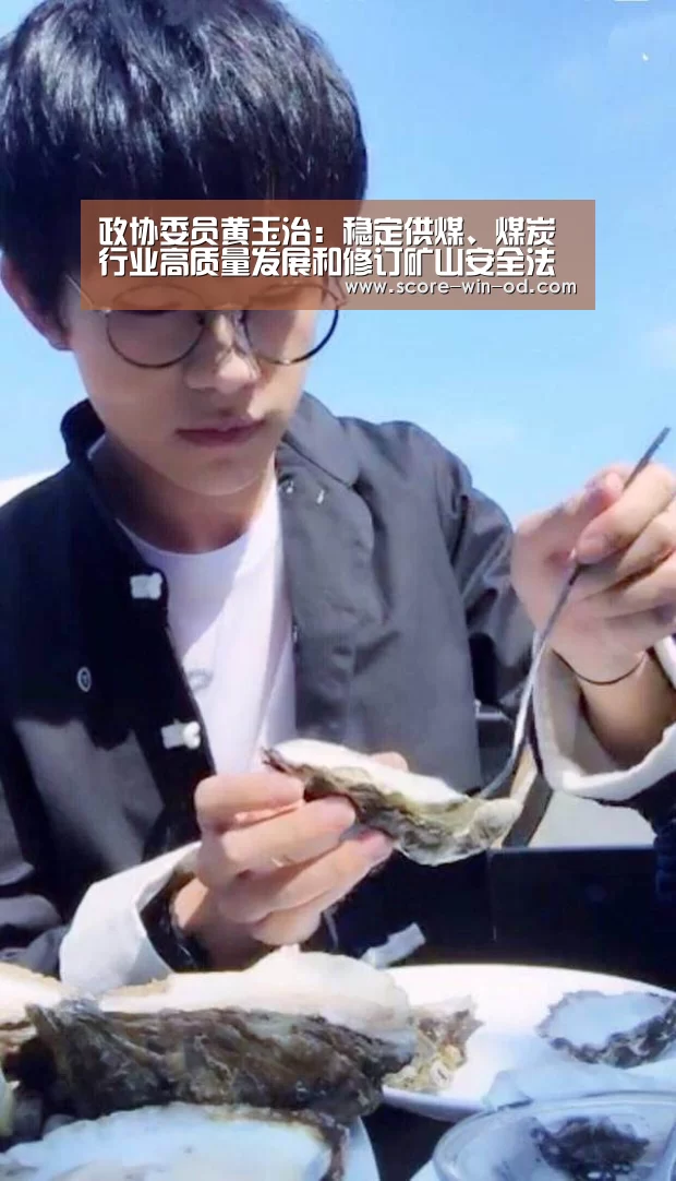 政协委员黄玉治:稳定供煤、煤炭行业高质量发展和修订矿山安全法【od体育在线登录】(图1) od体育官方网站