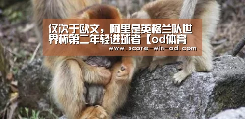 仅次于欧文,阿里是英格兰队世界杯第二年轻进球者【od体育官方网站】(图1) od体育官方网站