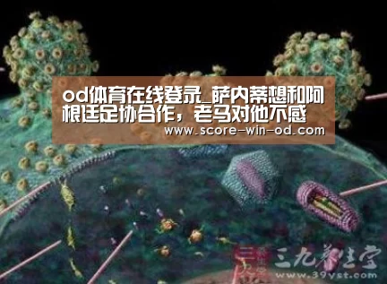 od体育在线登录_萨内蒂想和阿根廷足协合作,老马对他不感冒(图2) od体育在线登录