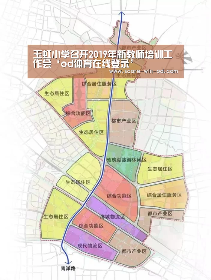 玉虹小学召开2019年新教师培训工作会‘od体育在线登录’(图4) od体育官方网站
